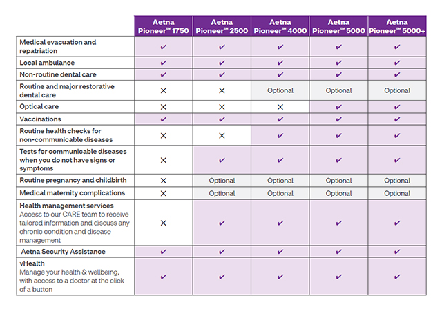 Discover Aetna Pioneer℠ | Aetna International