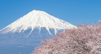 An expat's guide to Japan | Aetna International