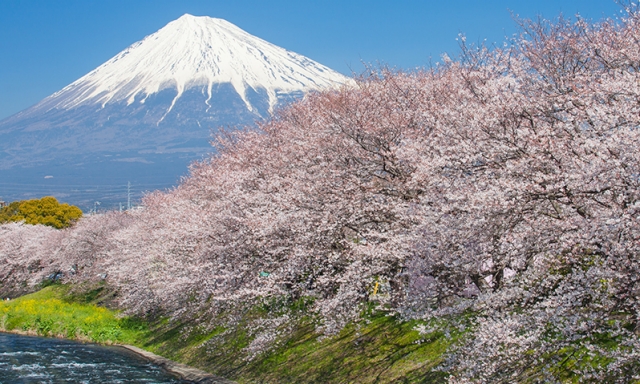 Japan’s climate and geography | Aetna International